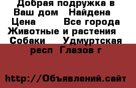 Добрая подружка,в Ваш дом!!!Найдена › Цена ­ 10 - Все города Животные и растения » Собаки   . Удмуртская респ.,Глазов г.